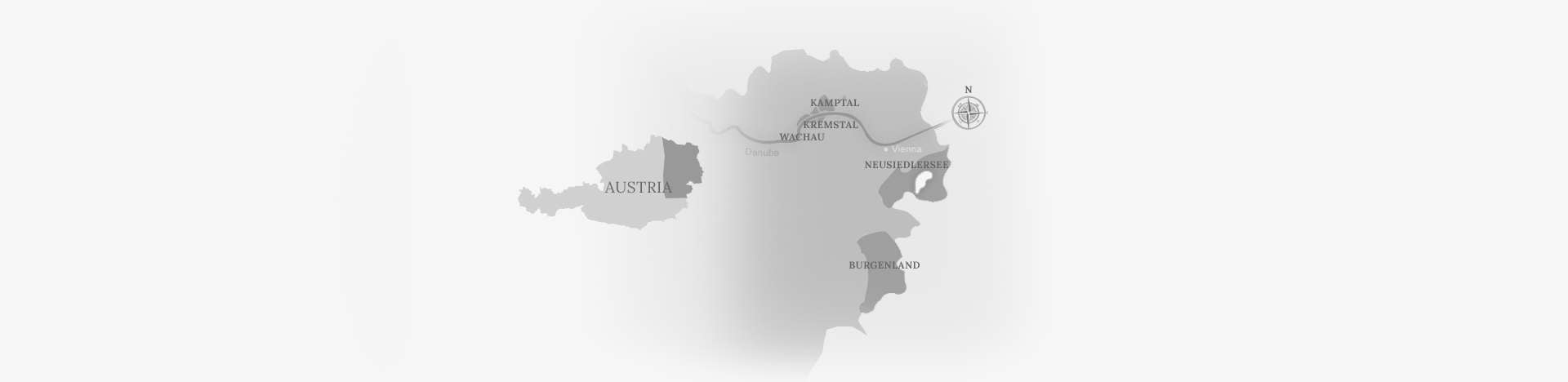 Austrian Wine banner image