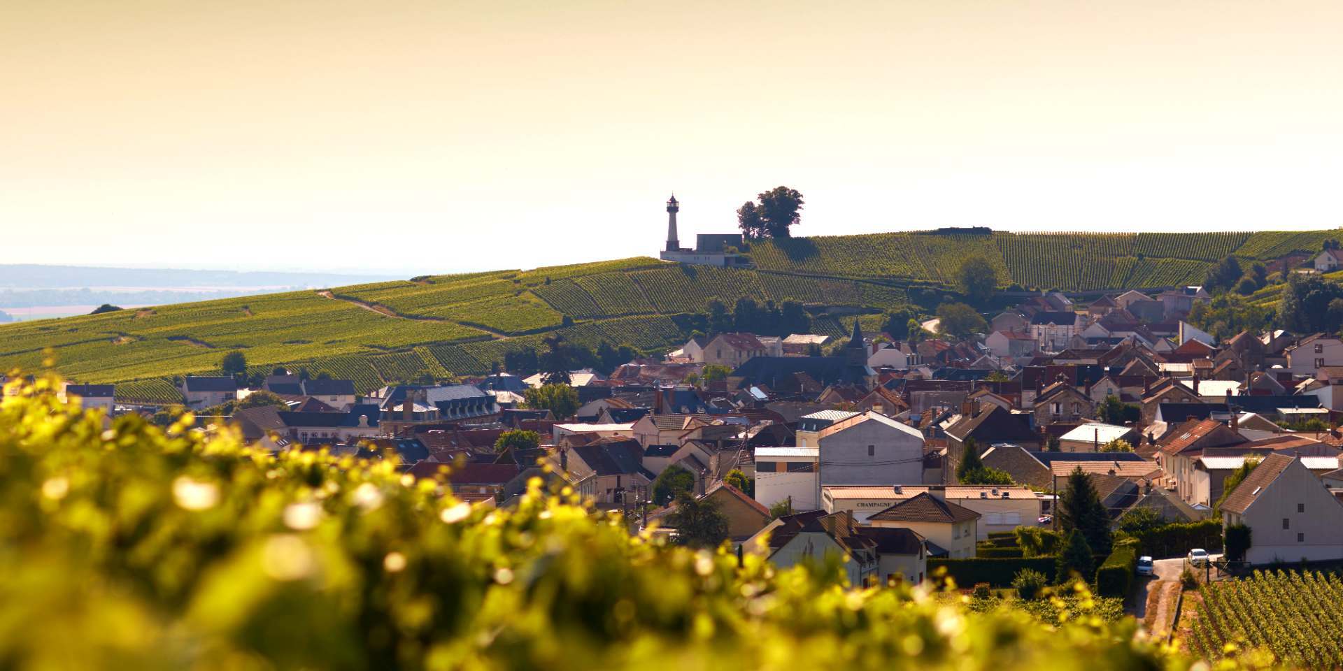 Champagne Labruyere