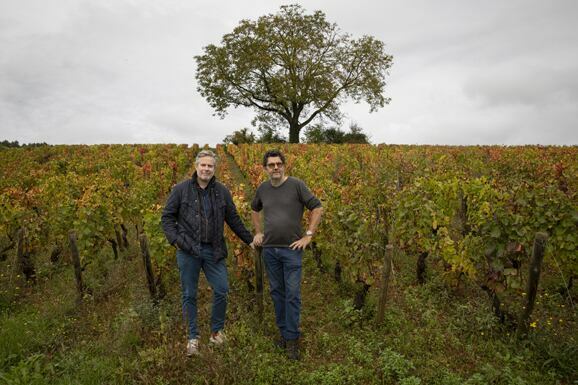 Domaine Cyrot-Buthiau banner image