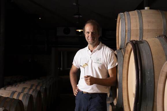 Domaine Labruyere banner image