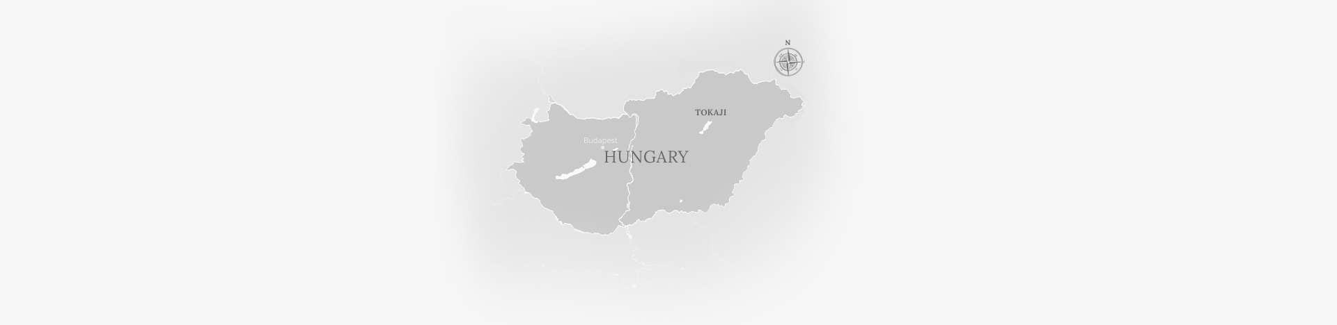Hungarian Wine banner image
