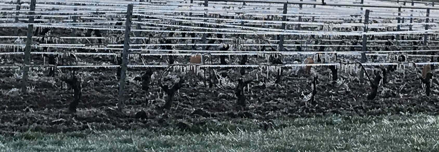 Domaine de l'Epine banner image
