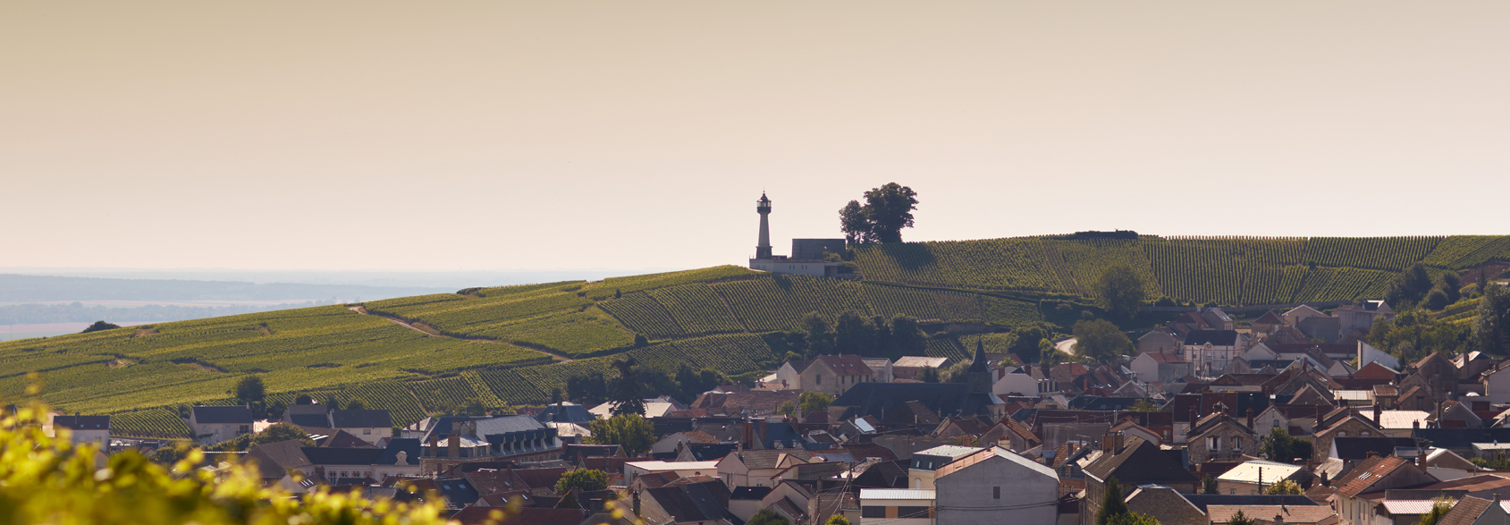 Champagne Labruyere banner image