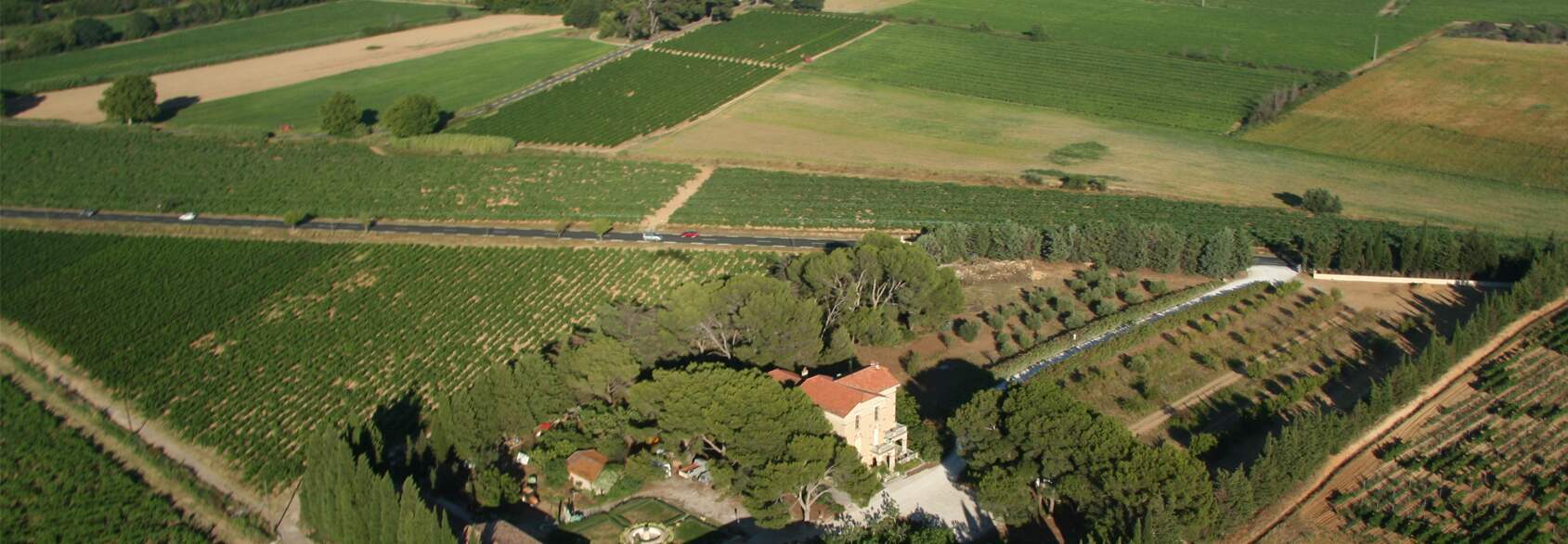 Domaine Morin Langaran banner image