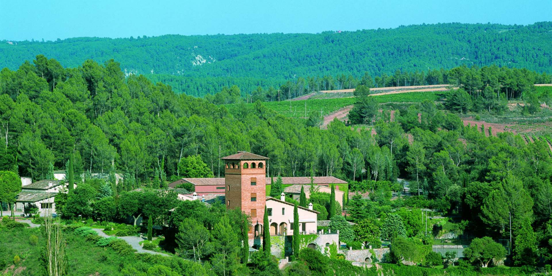 Bodegas Roqueta banner image
