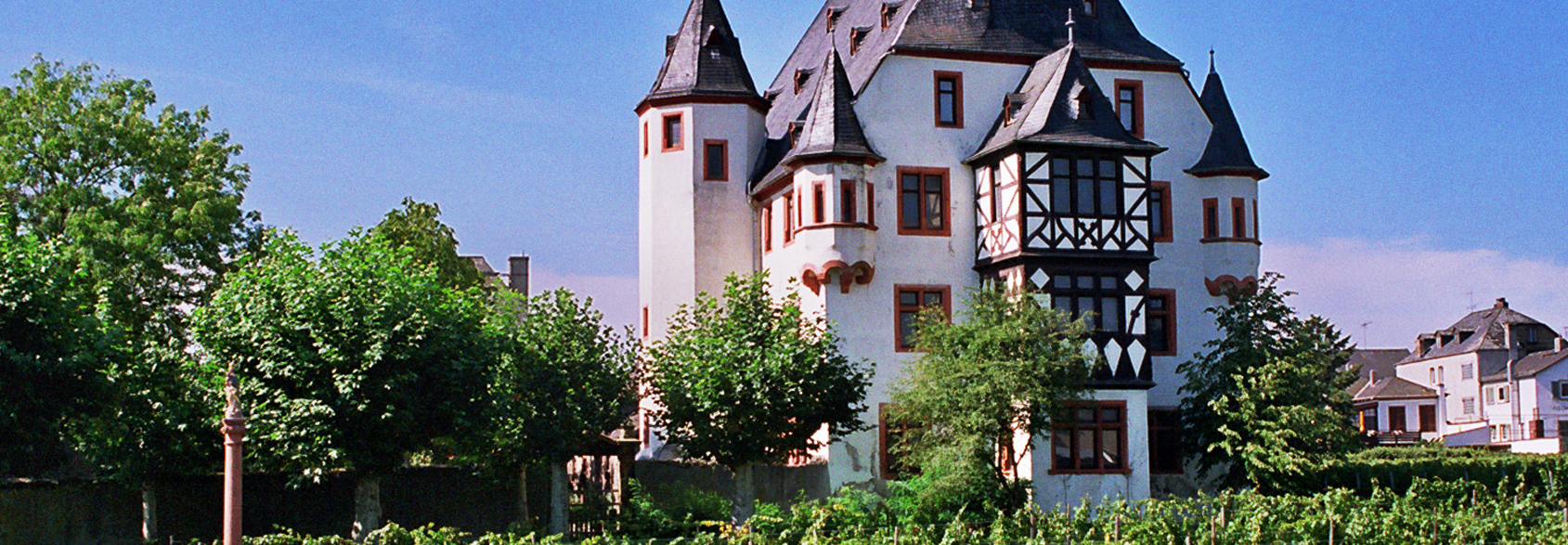 Schloss Schonborn banner image