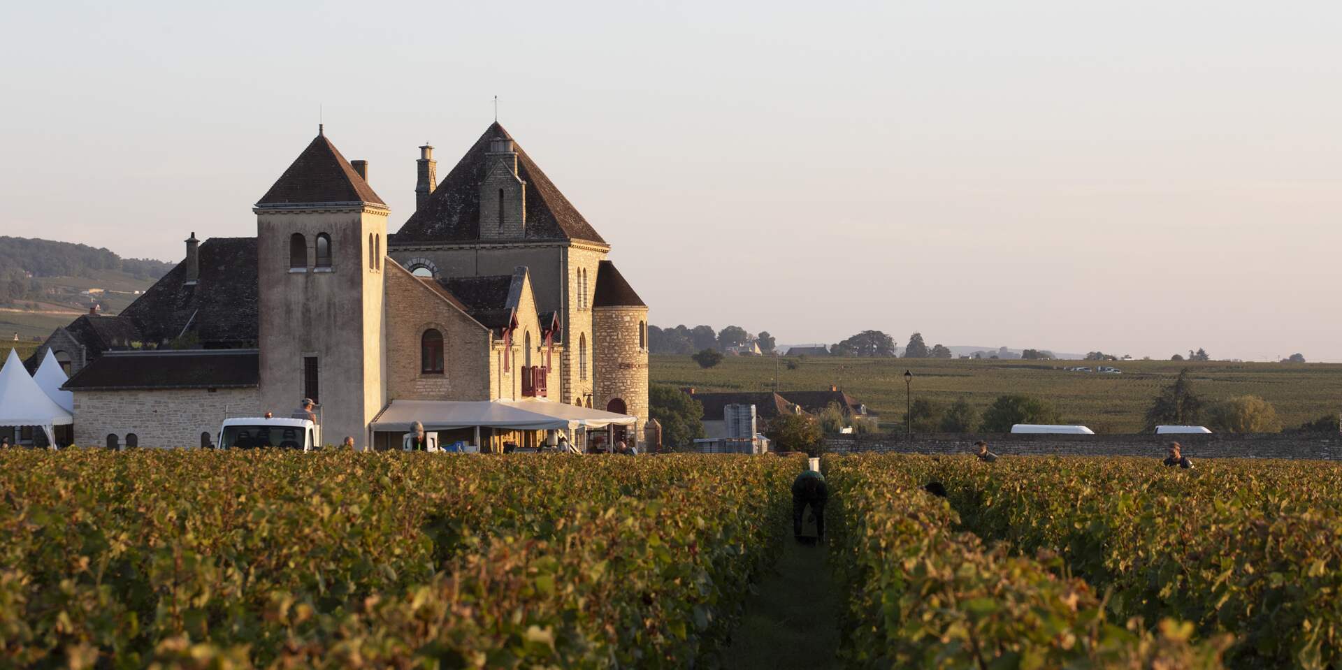 Chateau de la Tour, Clos de Vougeot