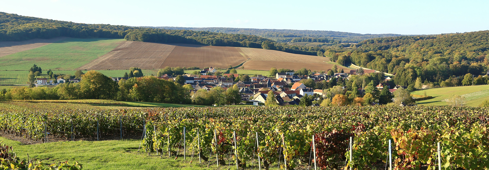 Champagne Guy de Chassey banner image