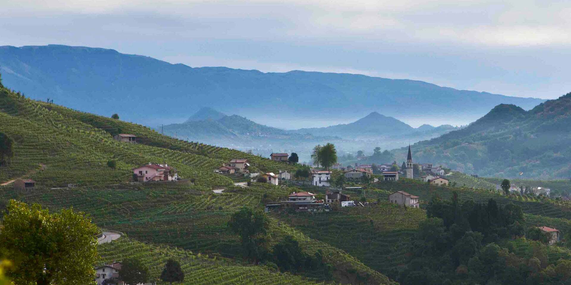 Azienda Agricola Le Colture
