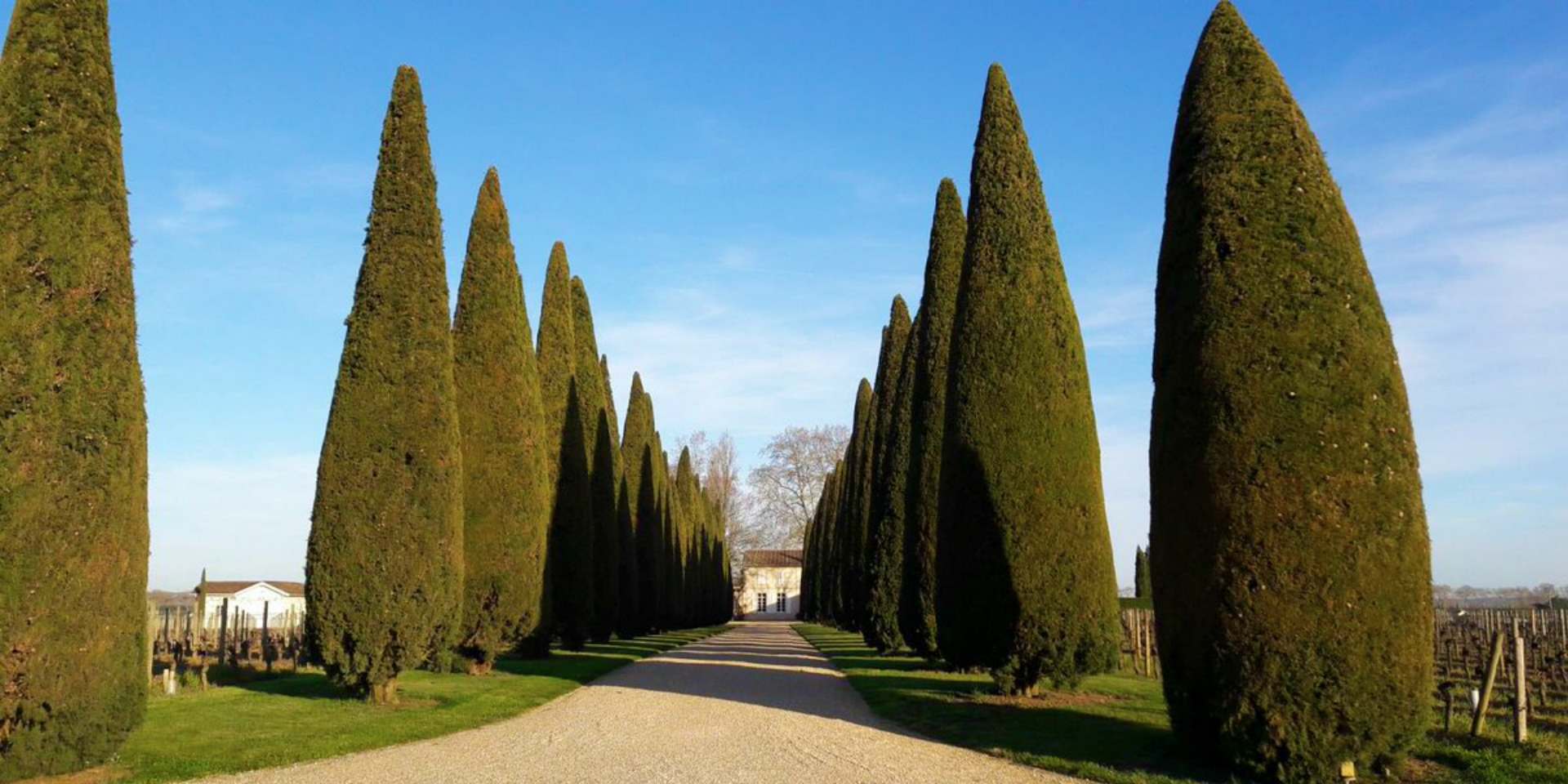 Chateau Trotanoy 
