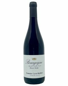 Bourgogne Pinot Noir Domaine Cyrot-Buthiau 2021