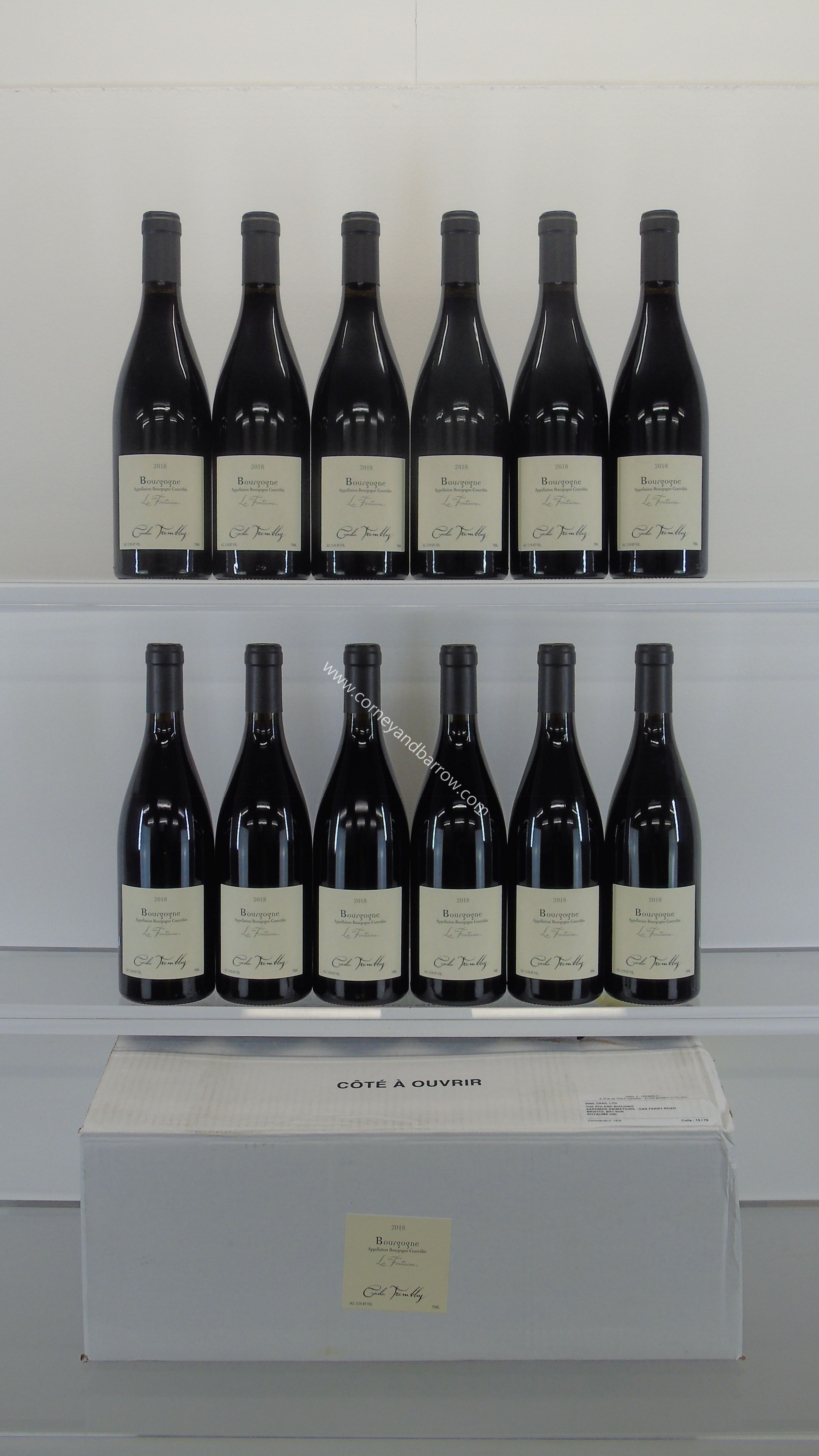 Bourgogne Rouge La Fontaine Domaine Cecile Tremblay 2018