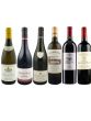 Burgundy & Bordeaux Mixed Case