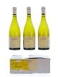 Meursault Les Perrieres 1er Cru Domaine Pierre-Yves Colin-Morey 2015