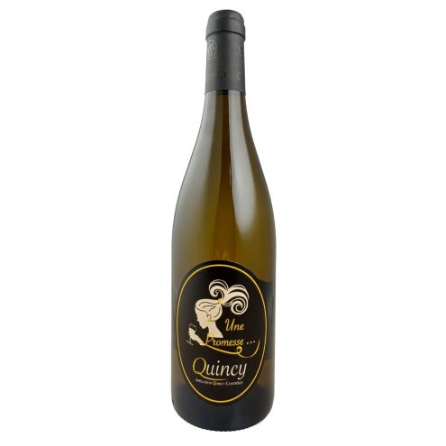 Quincy Une Promesse Domaine de l'Epine 2020