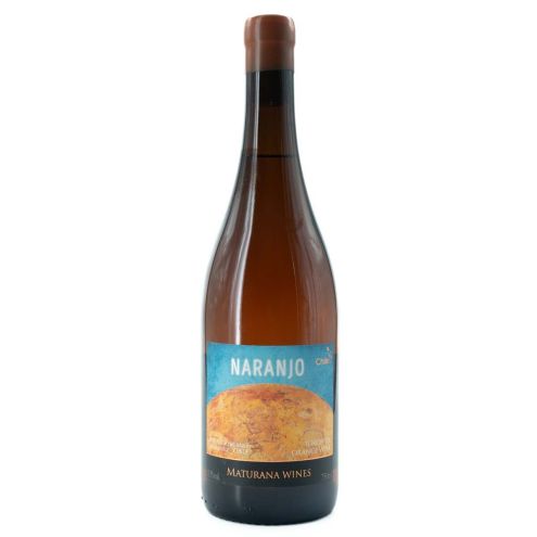 Naranjo Torontel Loncomilla Maturana Wines 2024
