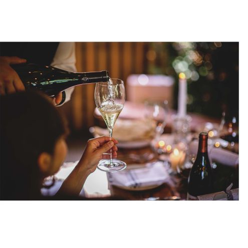Conterno Symphony Champagne Glass (Box of 6 Glasses)