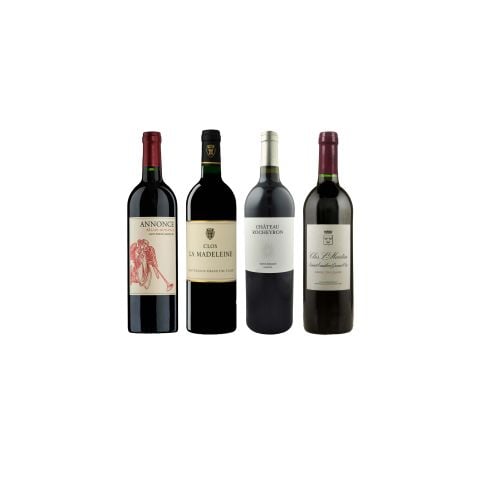 Stepping into St-Emilion Mixed Case