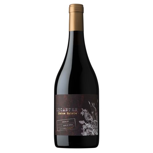 Licanten Merlot Idahue Estate La Ronciere 2021