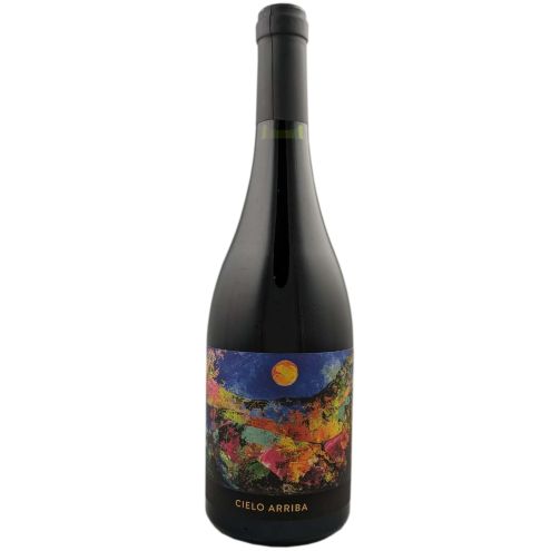 Cielo Arriba Huichaira Vineyard Jujuy 2020
