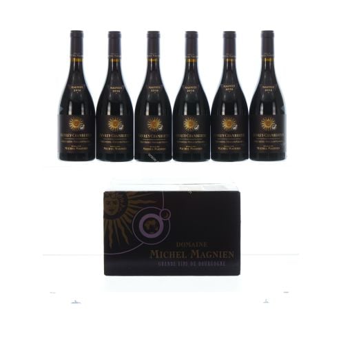 Gevrey-Chambertin Seuvrees-Vieilles Vignes Domaine Michel Magnien 2016
