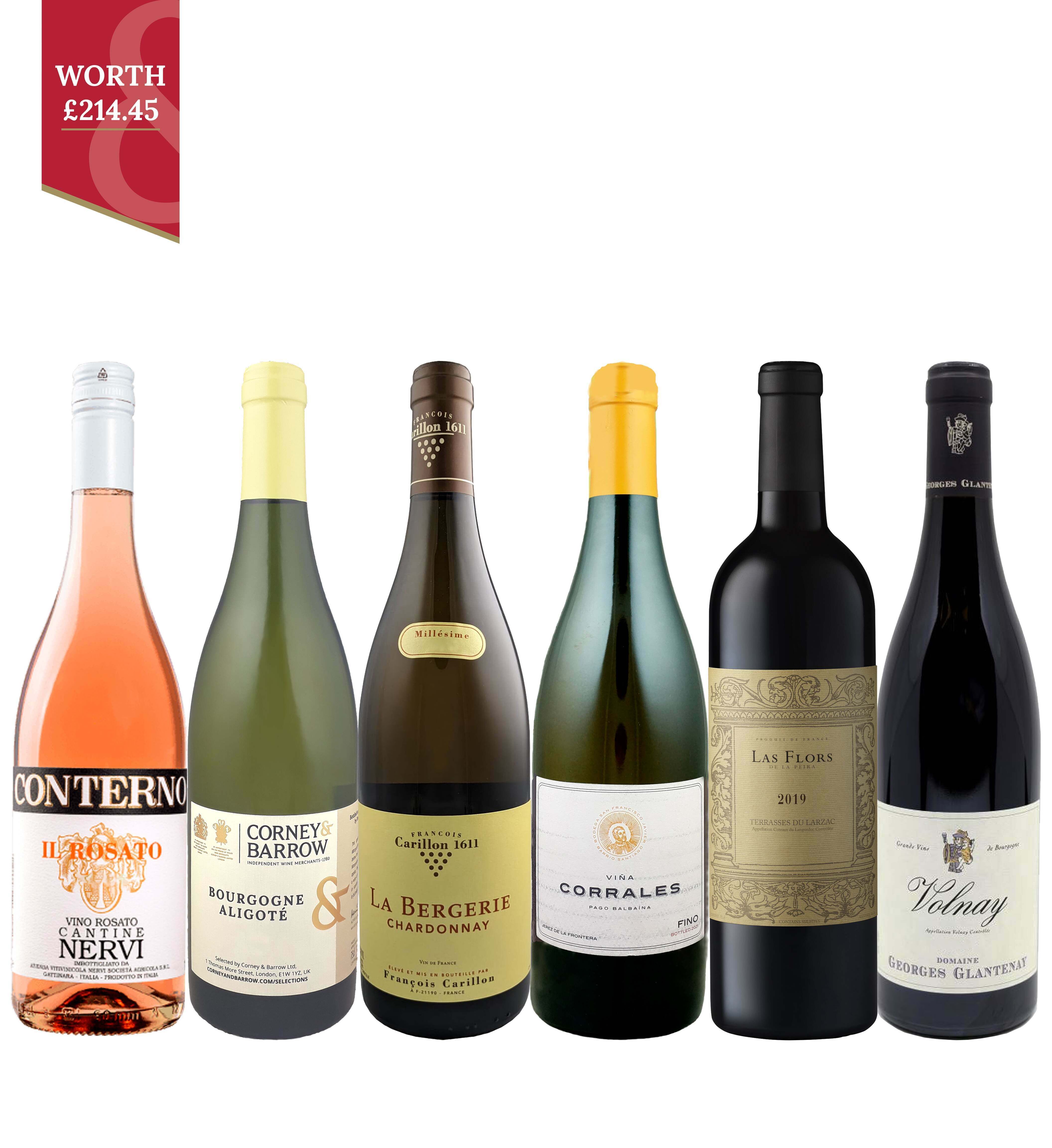 The Connoisseur Selection Mixed Case