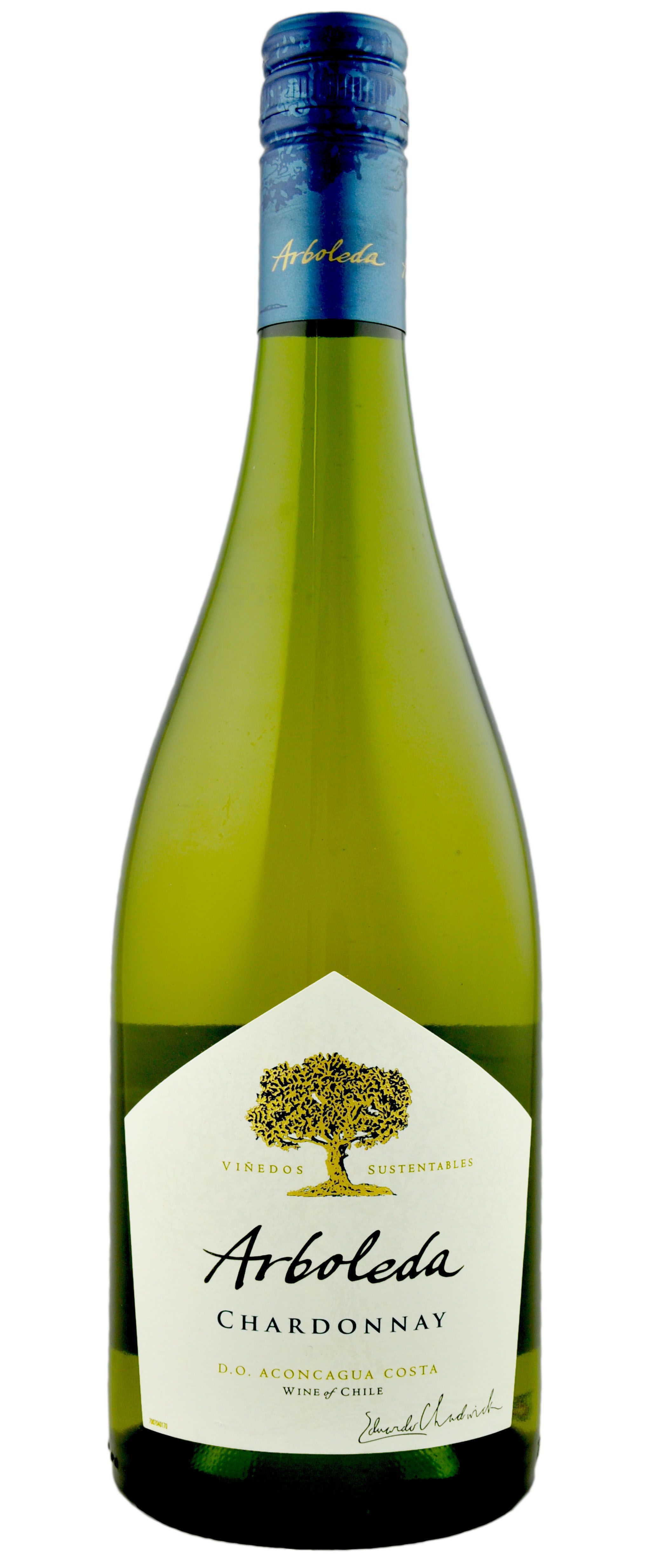 Arboleda Chardonnay 2021