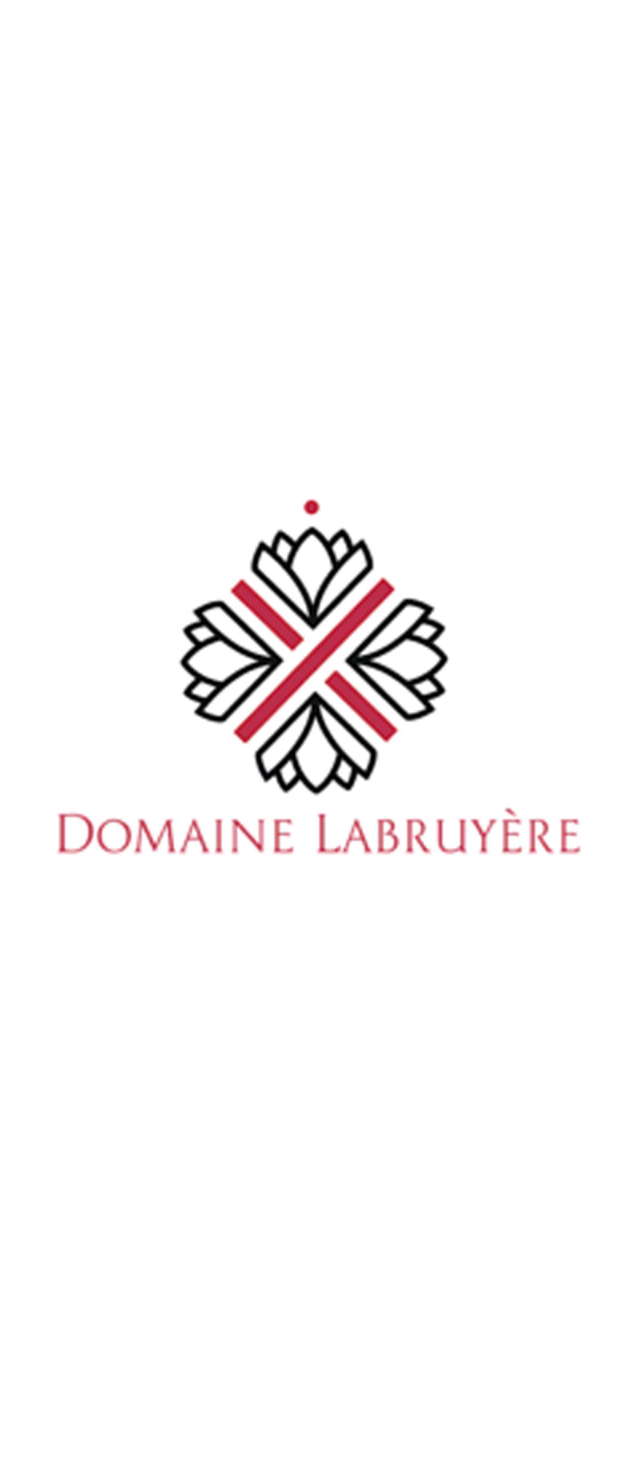 Moulin-a-Vent Clos du Moulin-a-Vent Monopole Domaine Labruyere 2017