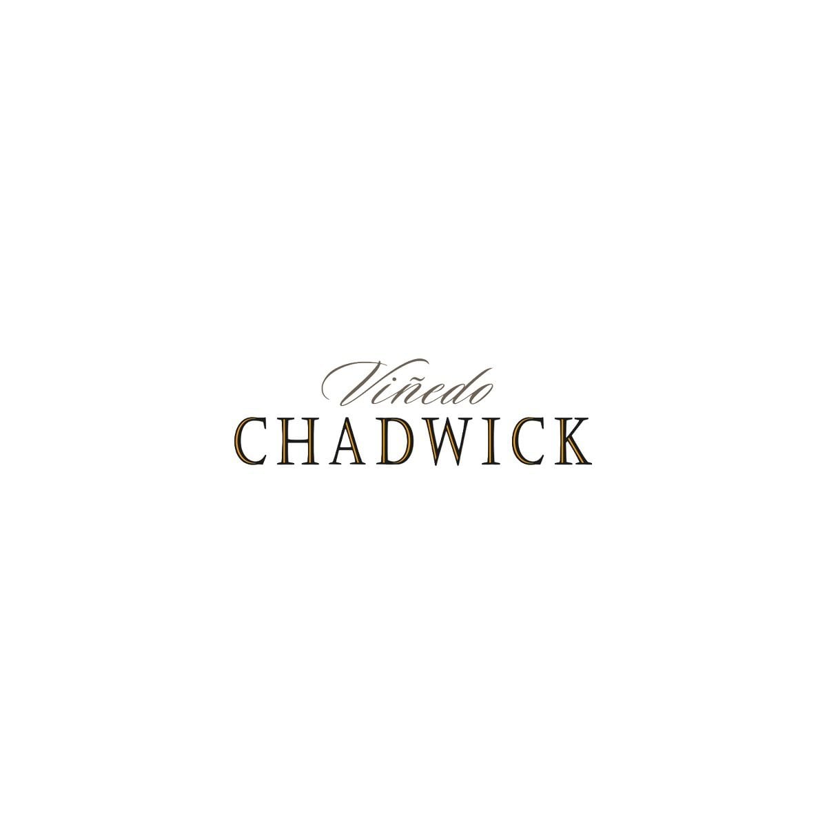Vinedo Chadwick 2021 Magnum