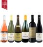 The Connoisseur Selection Mixed Case