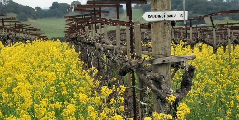 discover hyde de villaine estate