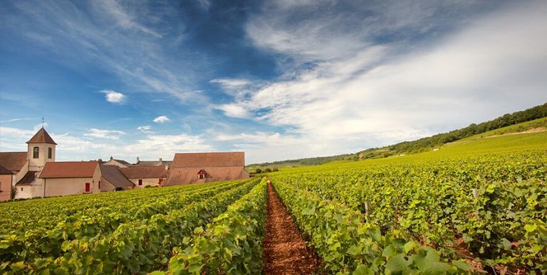 discover Clos de tart