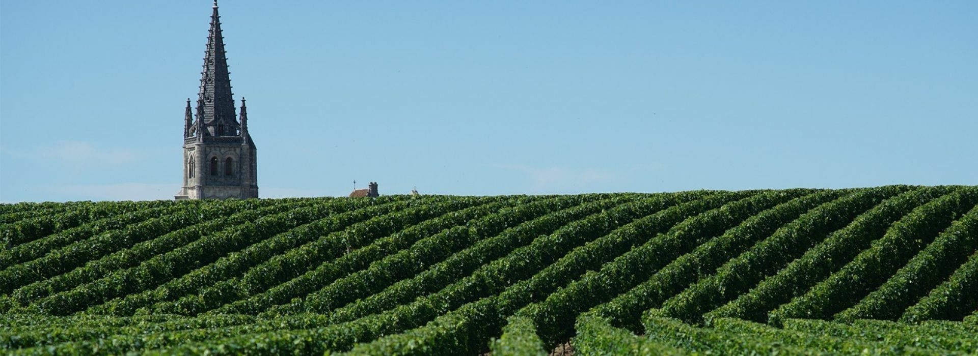Bordeaux 2021 en primeur wine