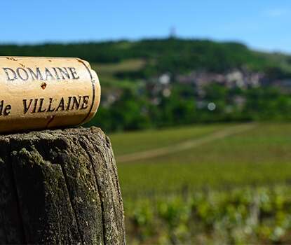 bouzeron wine bouzeron wine