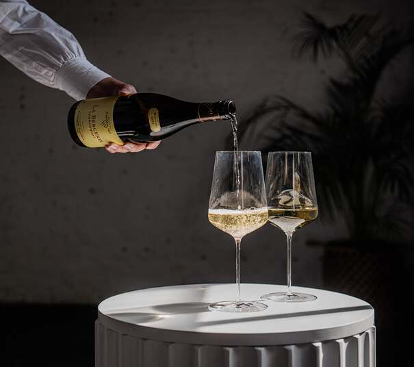 Burgundy 2025 Tasting - Trade & Press