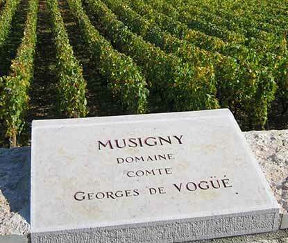 chambolle musigny wine