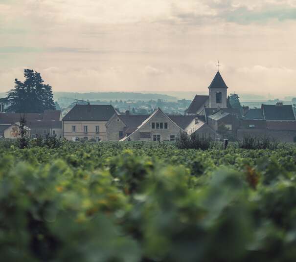 Clos de Tart Dinner