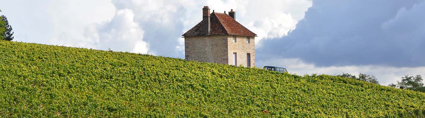 Domaine du Couvent en Primeur 2021