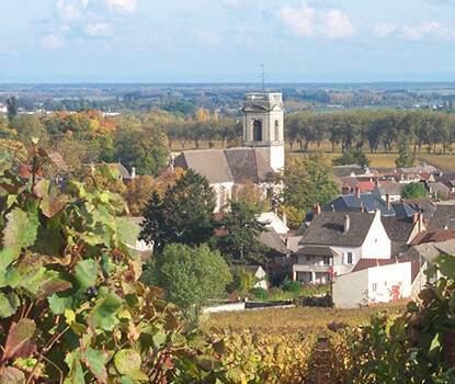 POMMARD wine POMMARD wine