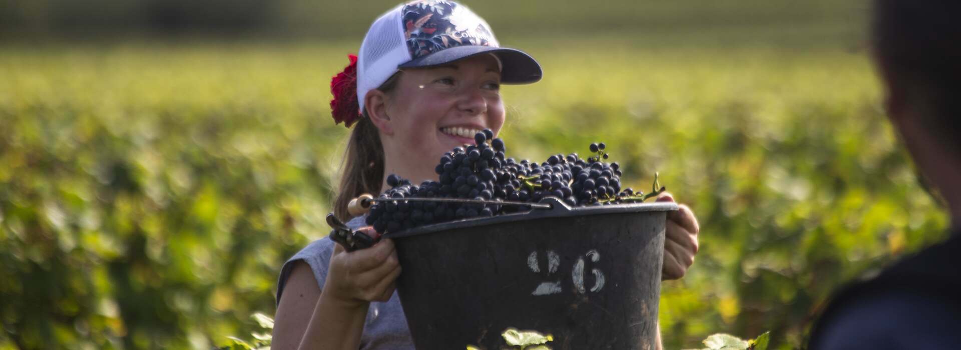 burgundy wine producers