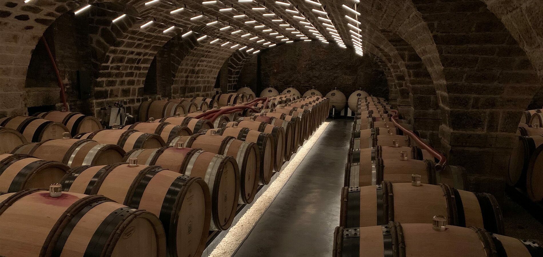 burgundy wine vintage report