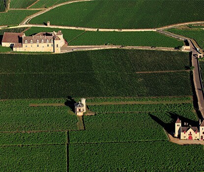 chateau de la tour wine