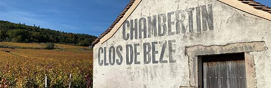 Clos de Beze vineyards