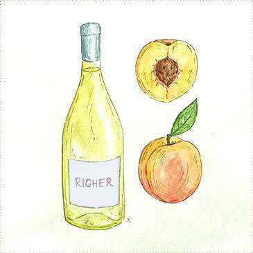 Chardonnay & Richer Whites wine
