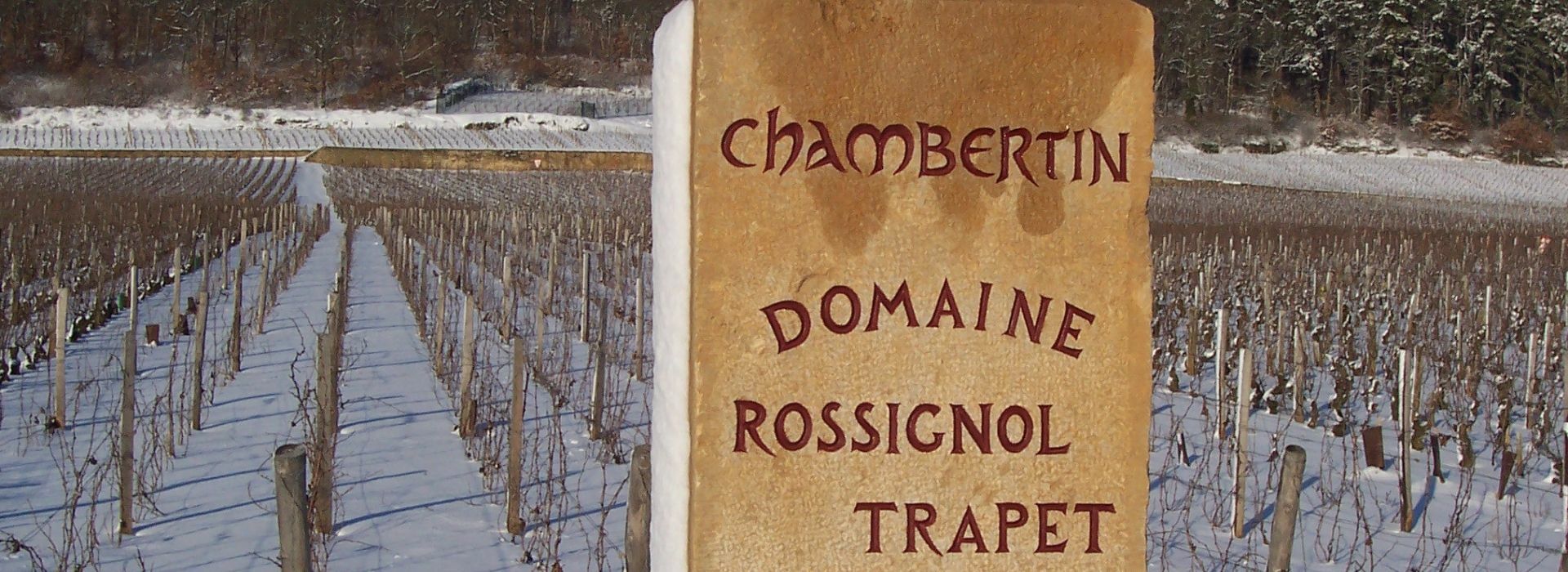 Domaine Rossignol Trapet