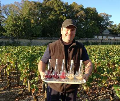 Vineyards Vineyards