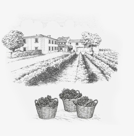 Buy wine, Corney and Barrow wine